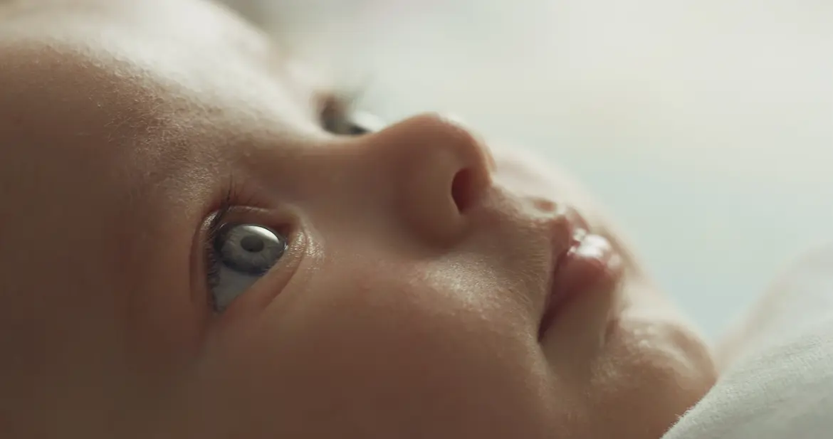 about us banner image